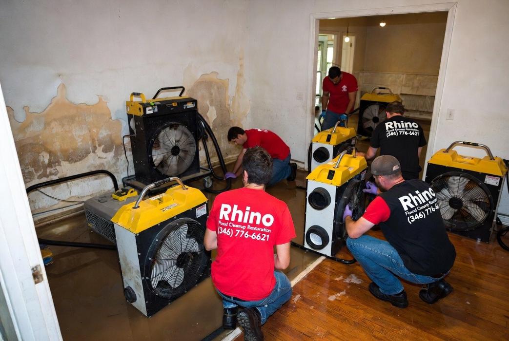 water cleanup service