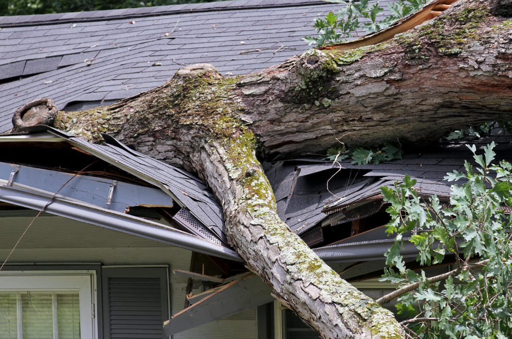 Rapid emergency roof repairs to secure your home and minimize interior damage.