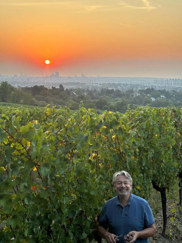 Zahel Weingut & Heuriger, Maurer Hauptplatz in Wien