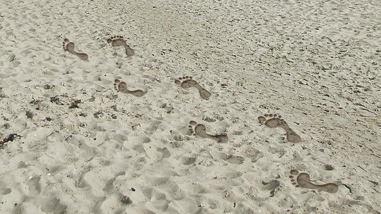 Orthopädie-Schuhtechnik Schulze, Ummendorfer Straße in Magdeburg