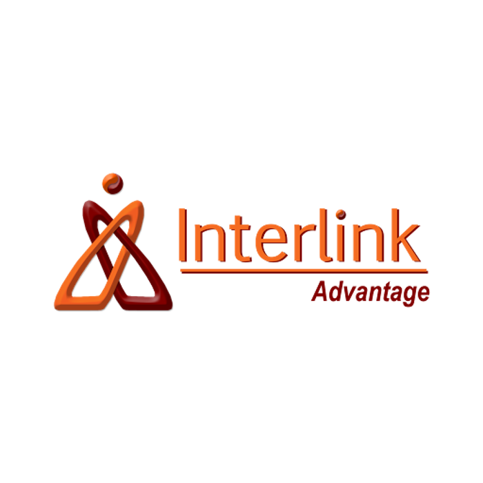 INTERLINK LLC