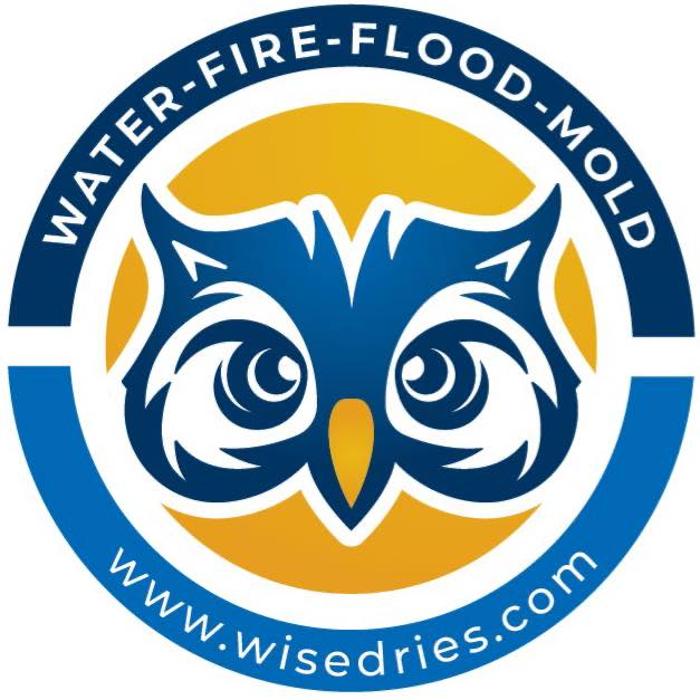 Wise Restoration Inc