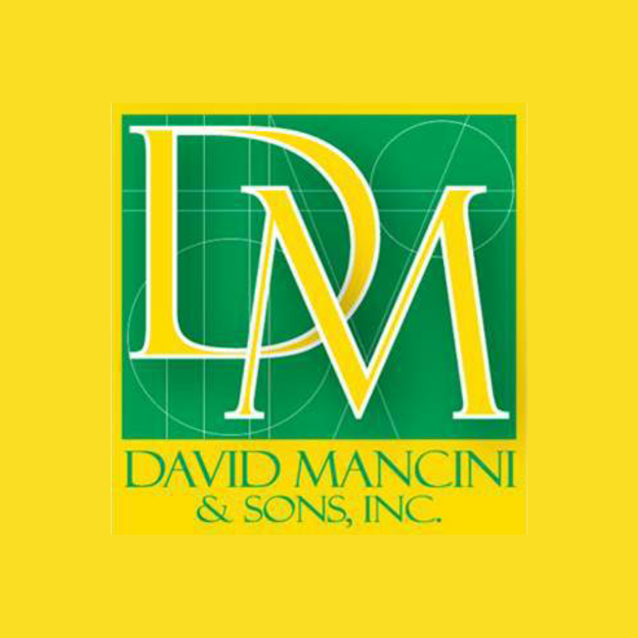 David Mancini & Sons
