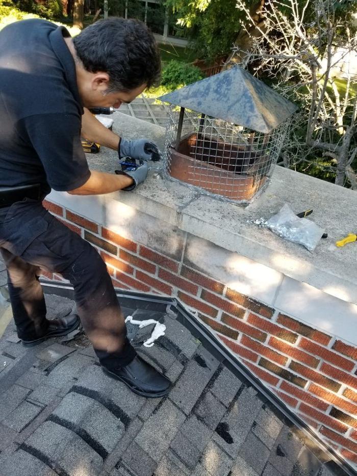 Diamo Pest Control