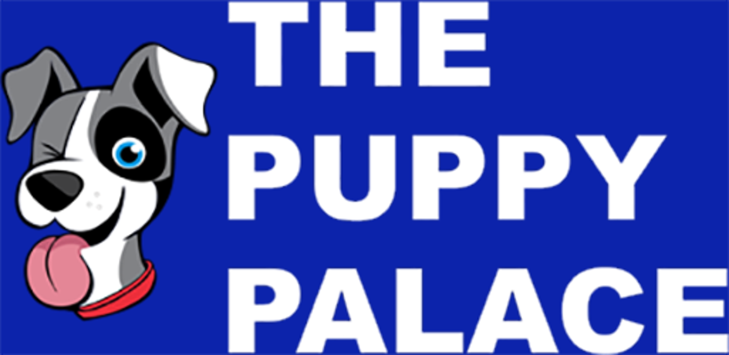 The Puppy Palace CT