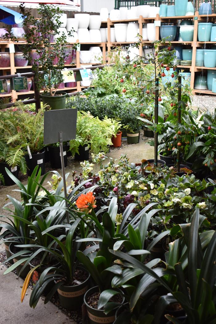 Armstrong Garden Centers