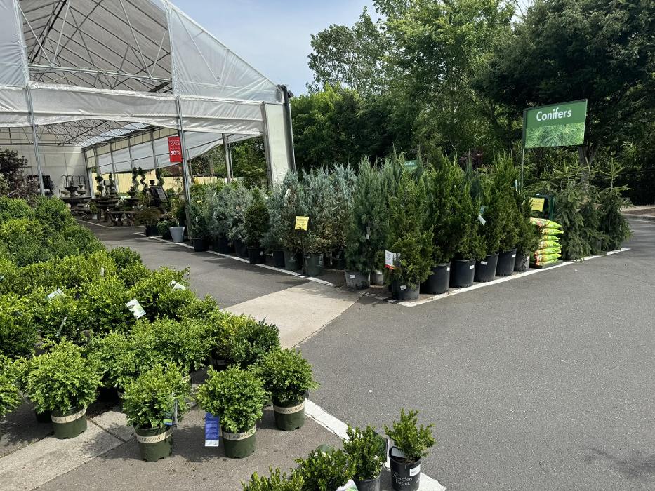Pike Nurseries