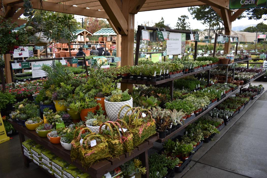 Armstrong Garden Centers
