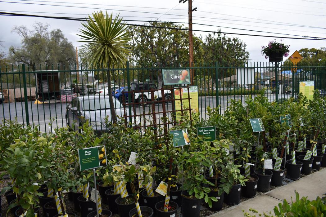 Armstrong Garden Centers