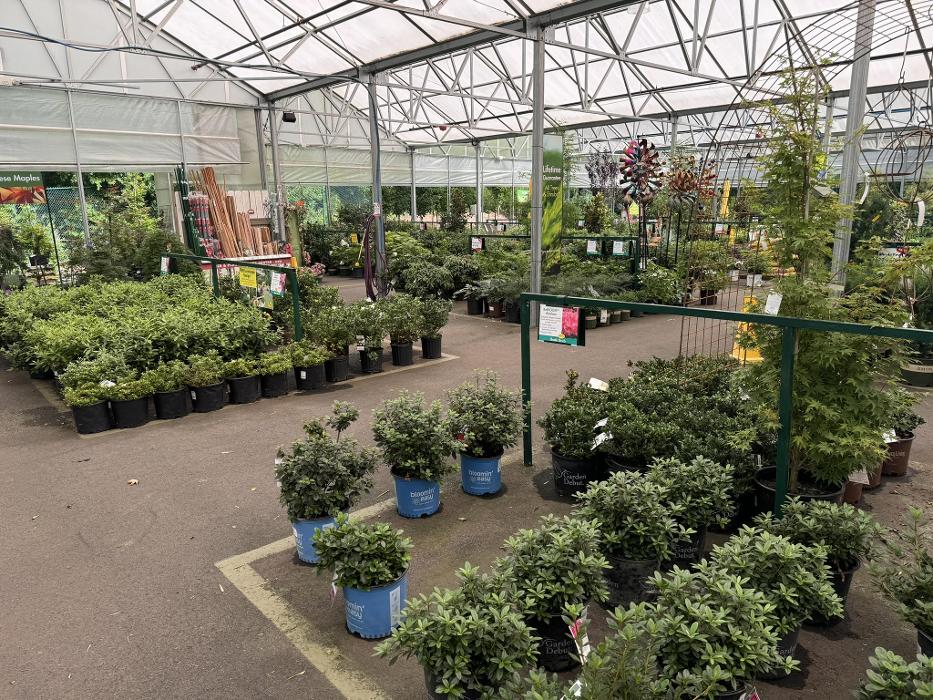 Pike Nurseries