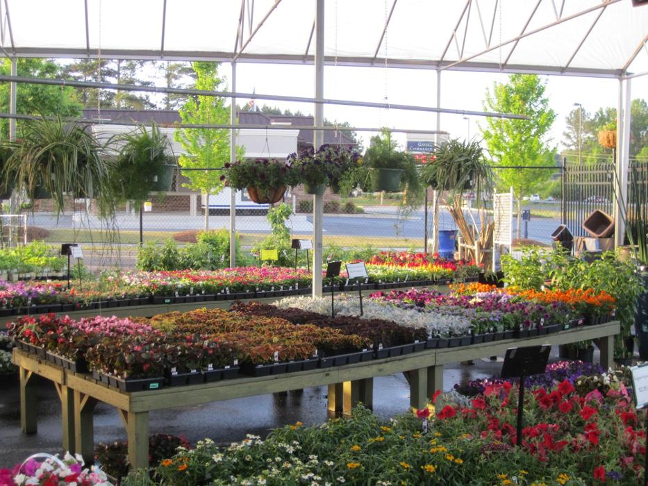 Pike Nurseries