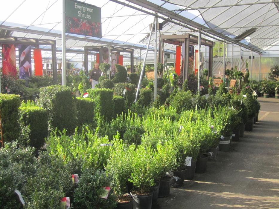 Pike Nurseries
