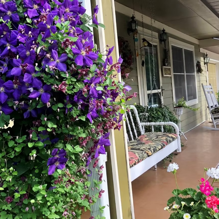 Country View BnB
