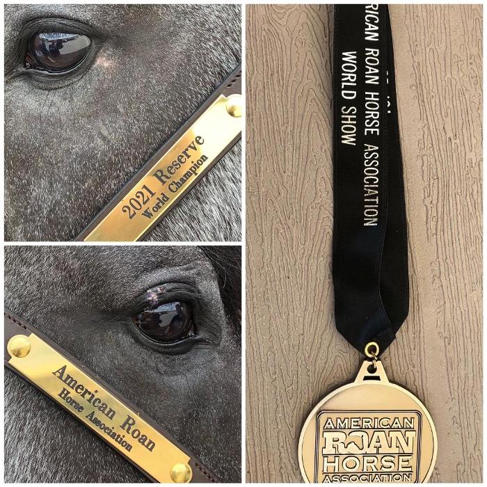 Eden Farms Quarter Horses and Labrador Retrievers