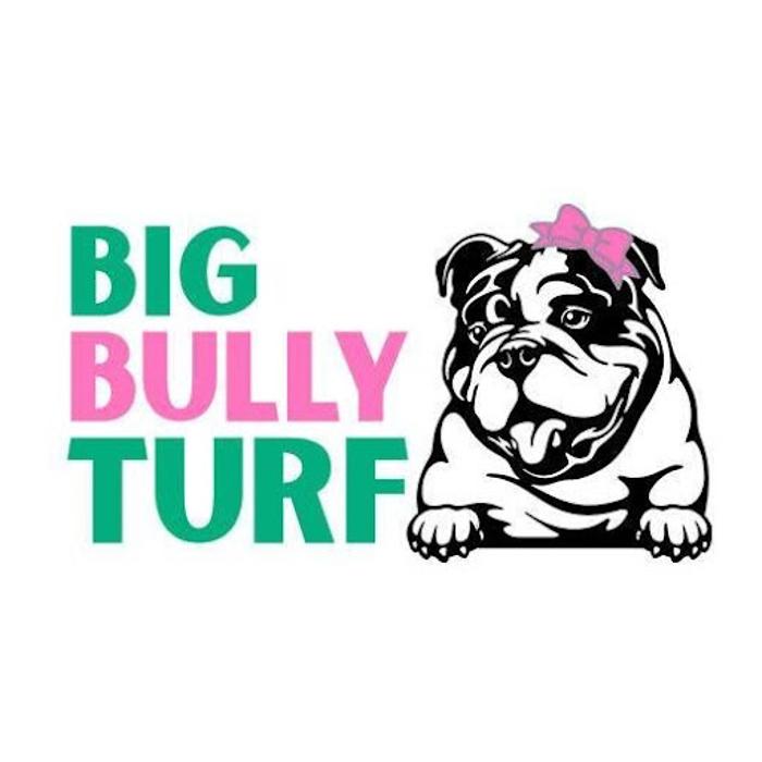 Big Bully Turf