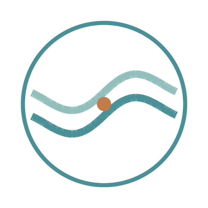 Dead River Management
