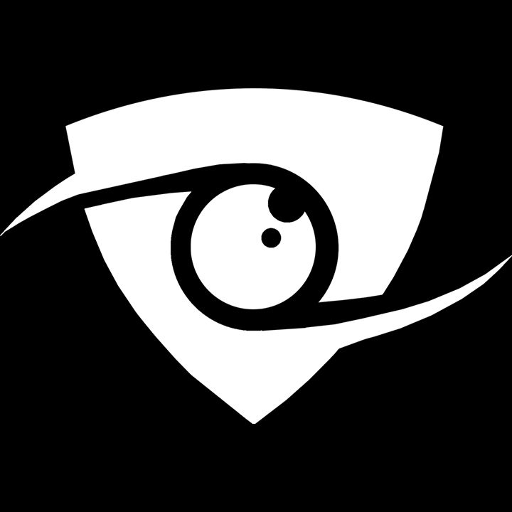 Vision et Securité