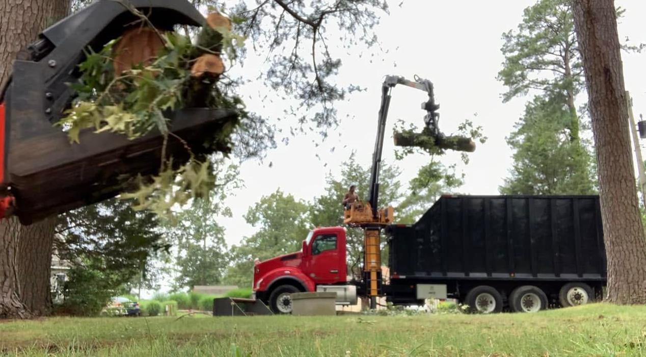 Rick's Tree Service - Church View, VA