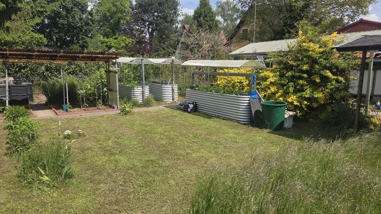 Helfer Äffchen, Löwenzahnweg in Blankenfelde-Mahlow