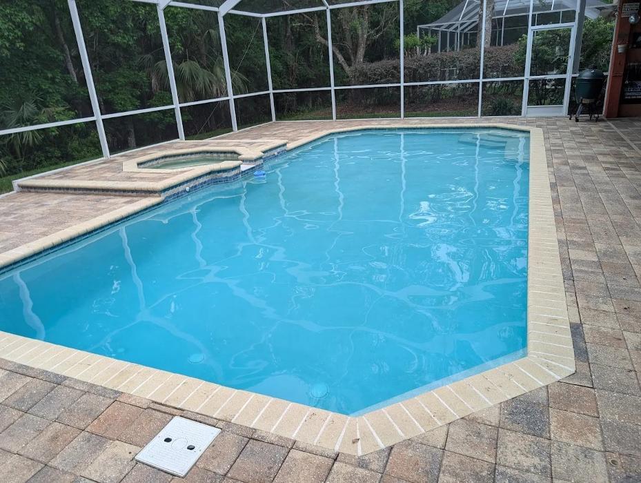 Clean, swim-ready pool with crisp blue tile, maintained by Neptune Reliable Pool Service — trusted weekly pool cleaning across Tampa, FL.