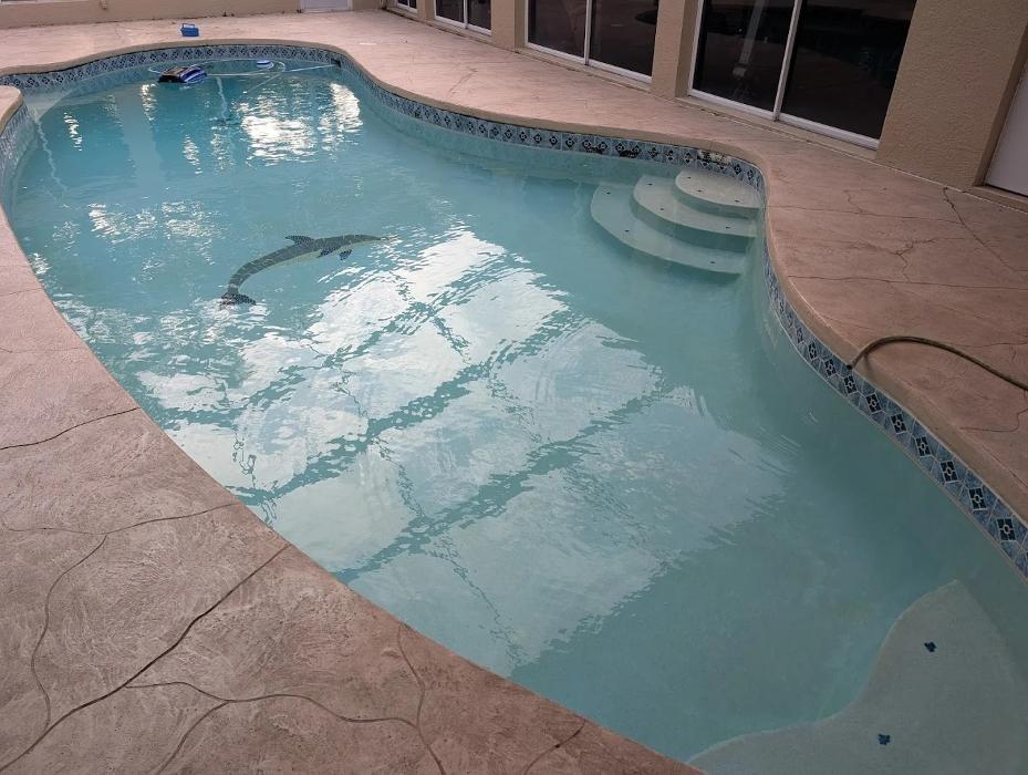 Sparkling kidney-shaped pool kept crystal clear with Neptune's weekly pool cleaning and chemical balancing in Tampa, FL.