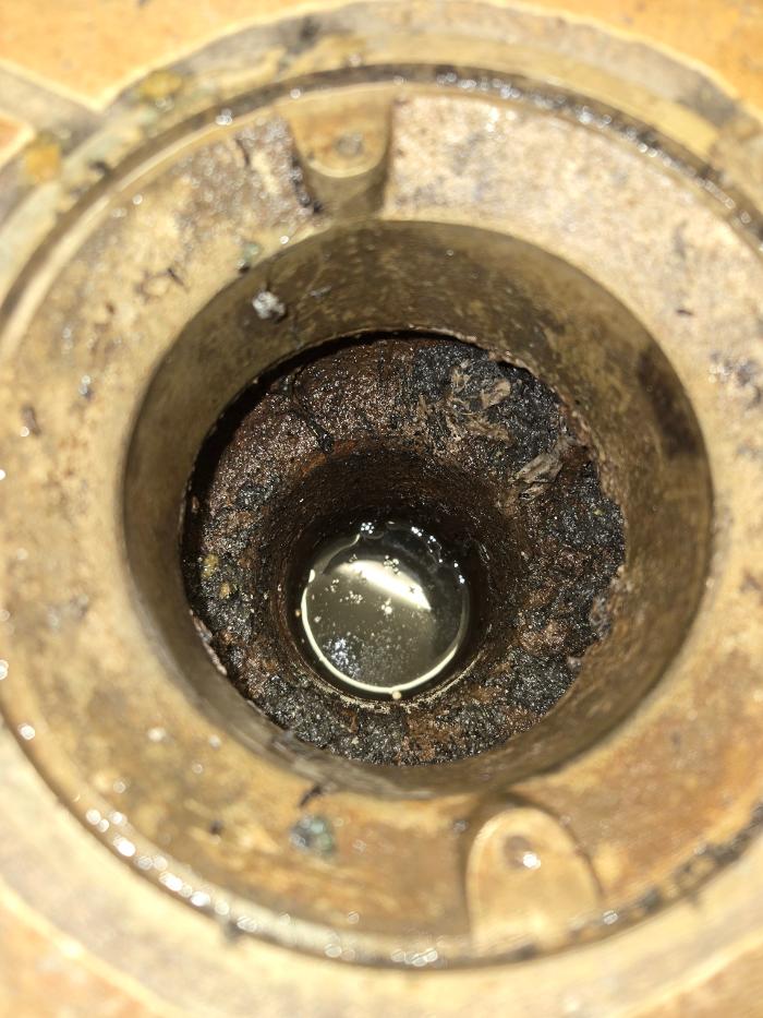 Roto-Rooter Plumbing & Water Cleanup