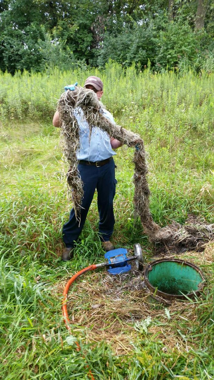Roto-Rooter Plumbing & Water Cleanup Image