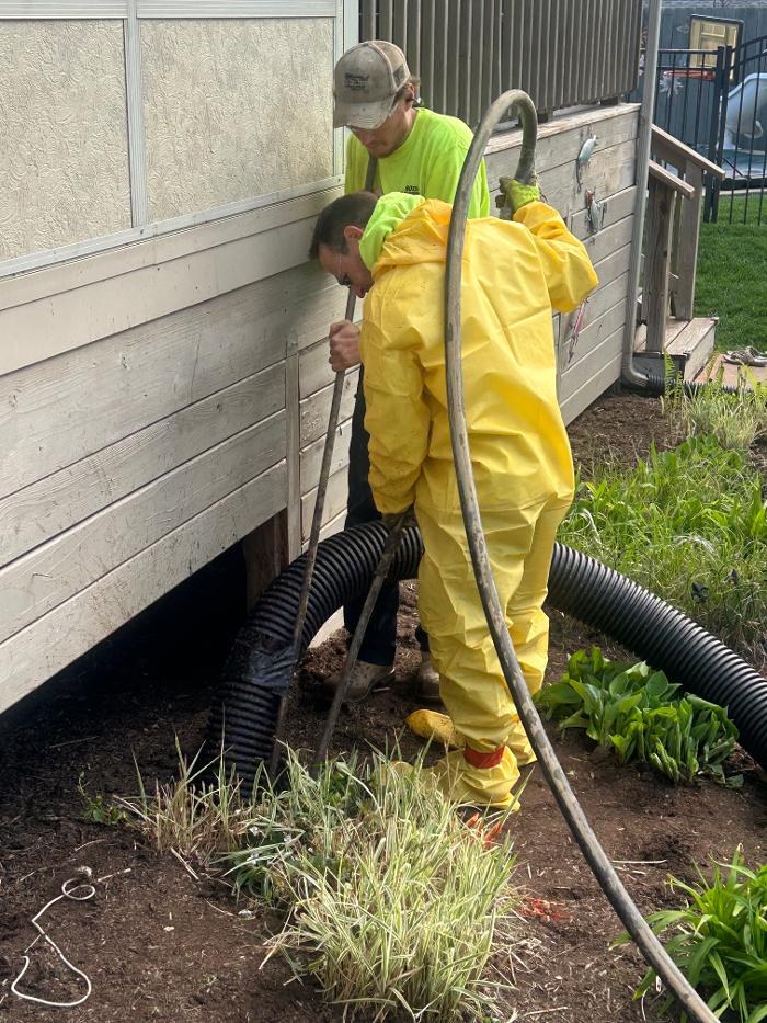 Roto-Rooter Plumbing & Water Cleanup Image