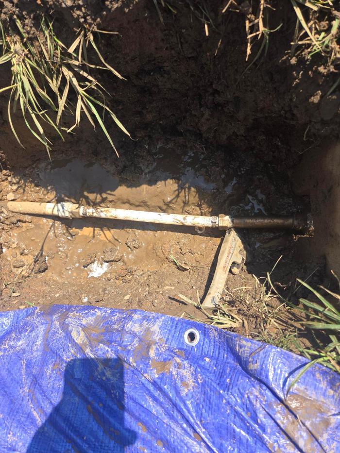 Roto-Rooter Plumbing & Water Cleanup Image