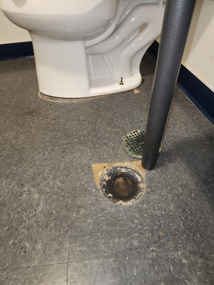Roto-Rooter Plumbing & Water Cleanup