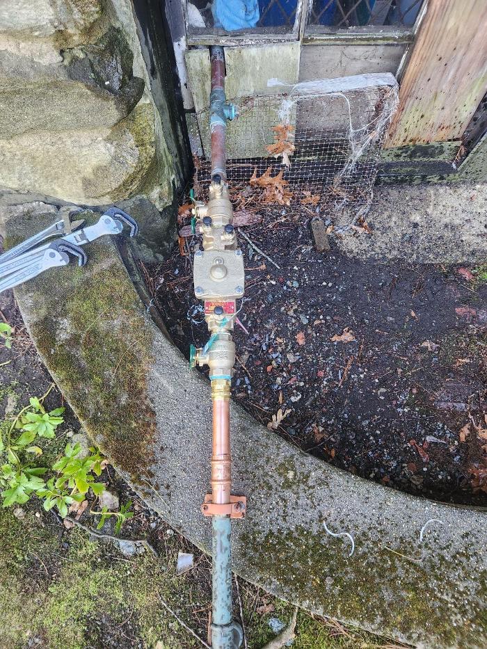 Roto-Rooter Plumbing & Water Cleanup