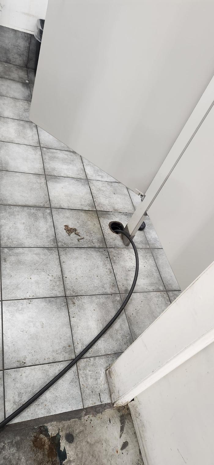 Roto-Rooter Plumbing & Water Cleanup Image