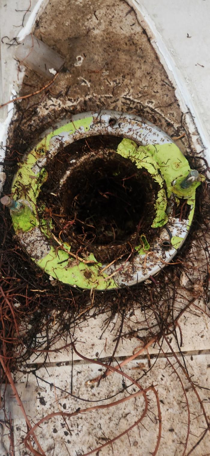 Roto-Rooter Plumbing & Water Cleanup Image