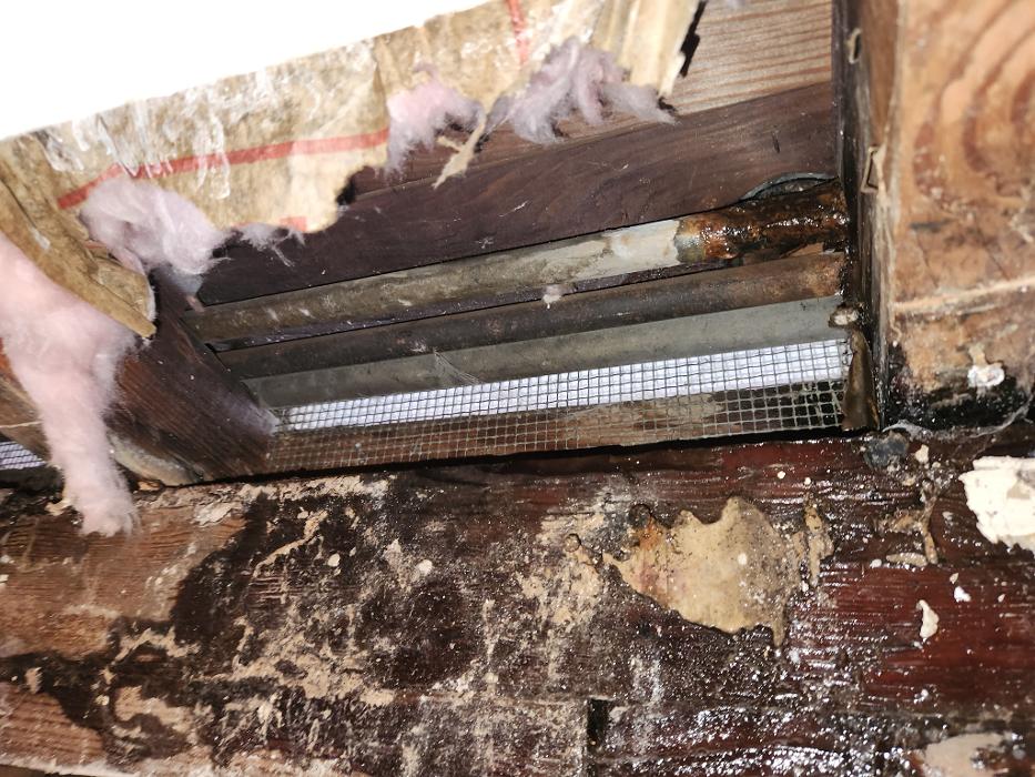 Roto-Rooter Plumbing & Water Cleanup Image