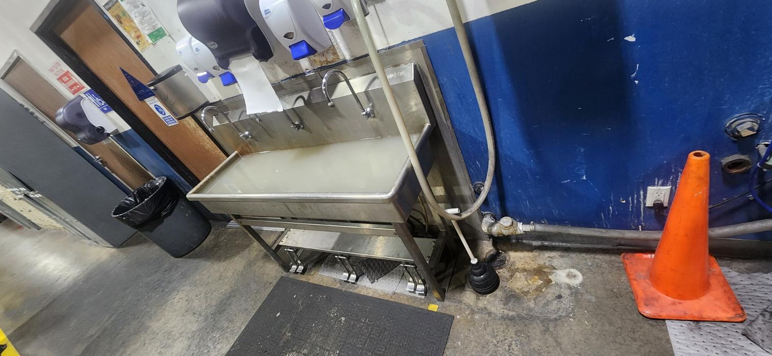 Roto-Rooter Plumbing & Water Cleanup Image