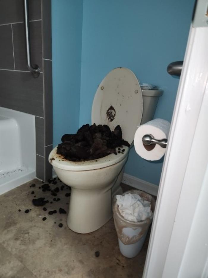 Roto-Rooter Plumbing & Water Cleanup
