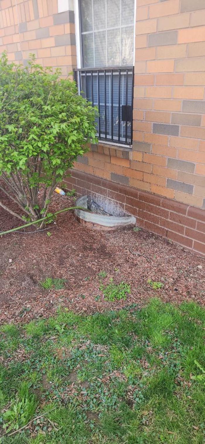 Roto-Rooter Plumbing & Water Cleanup