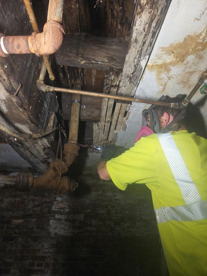 Roto-Rooter Plumbing & Water Cleanup Image