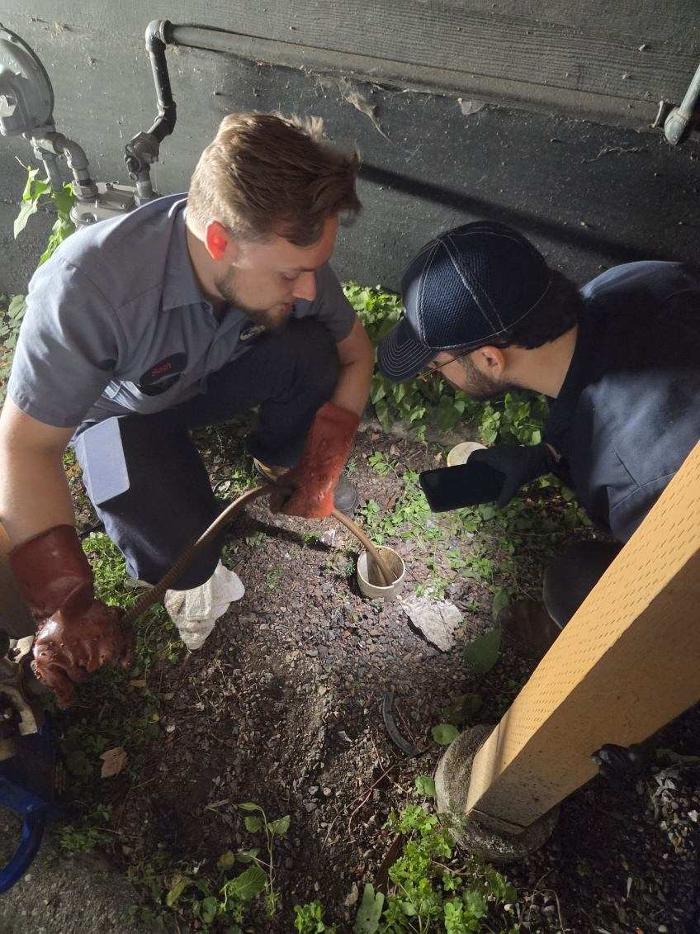 Roto-Rooter Plumbing & Water Cleanup Image