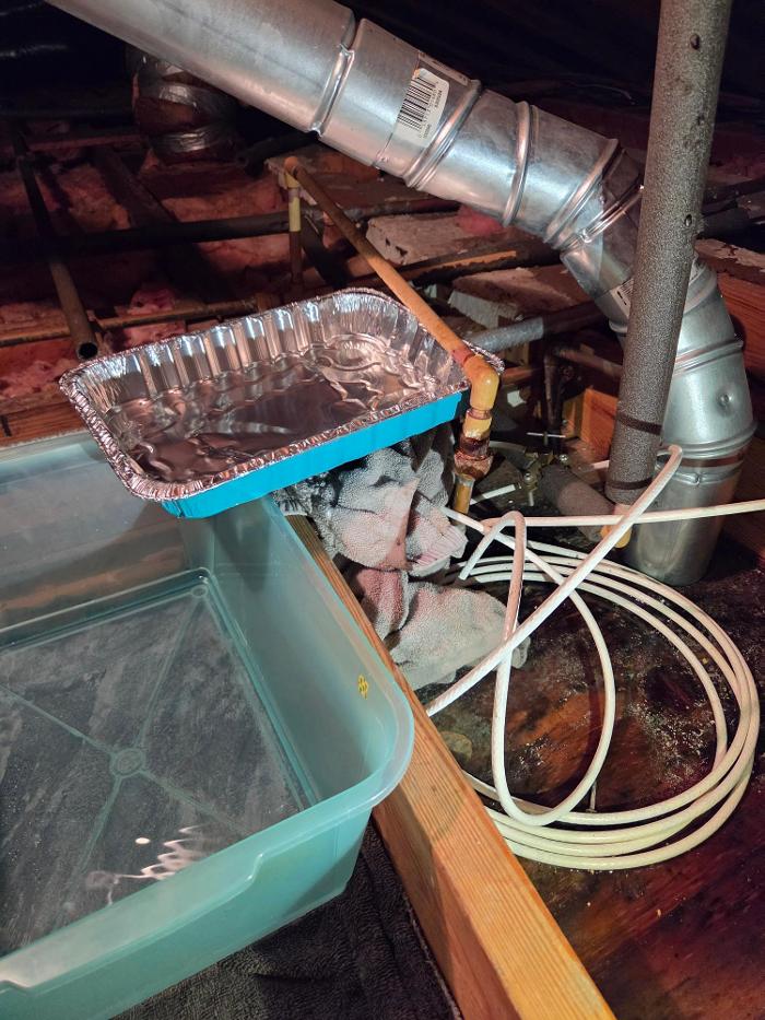 Roto-Rooter Plumbing & Water Cleanup Image