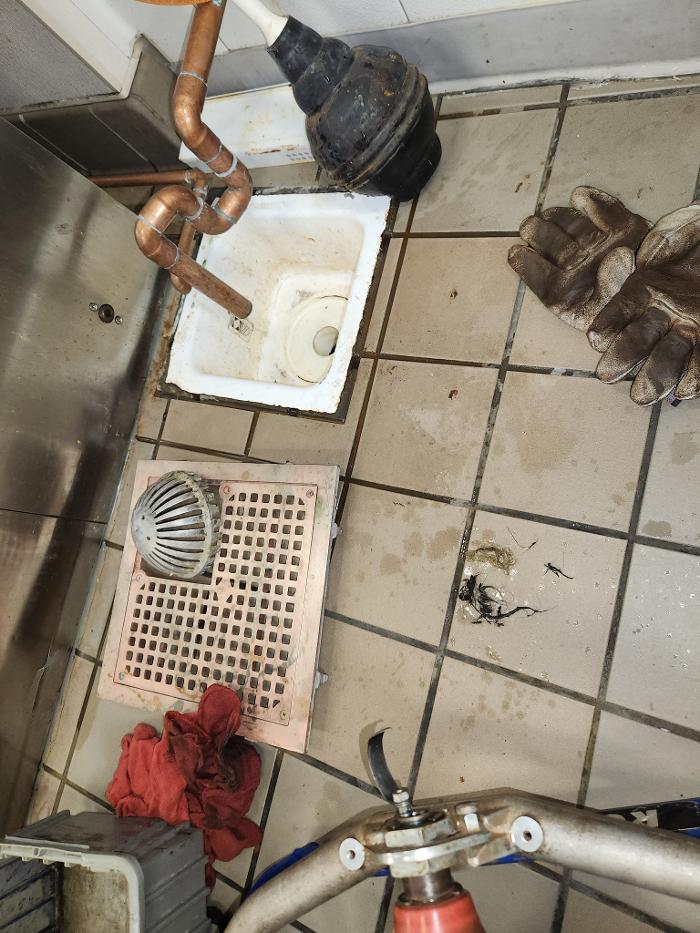 Roto-Rooter Plumbing & Water Cleanup Image