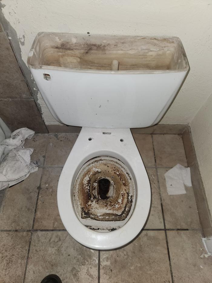 Roto-Rooter Plumbing & Water Cleanup Image