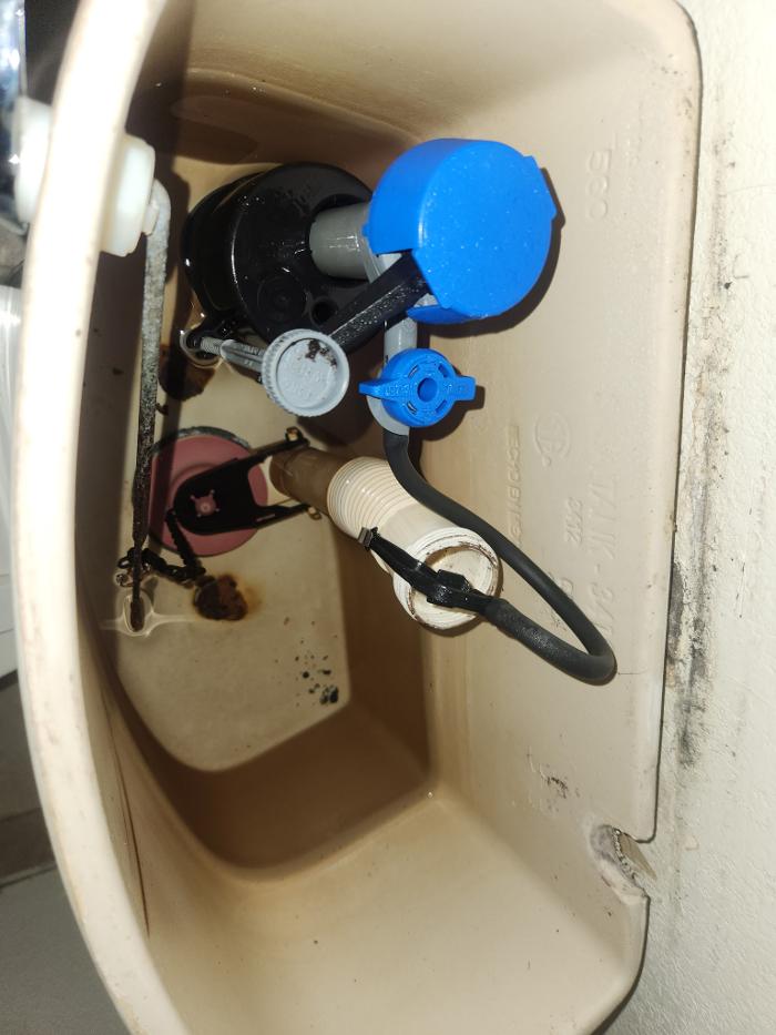 Roto-Rooter Plumbing & Water Cleanup Image