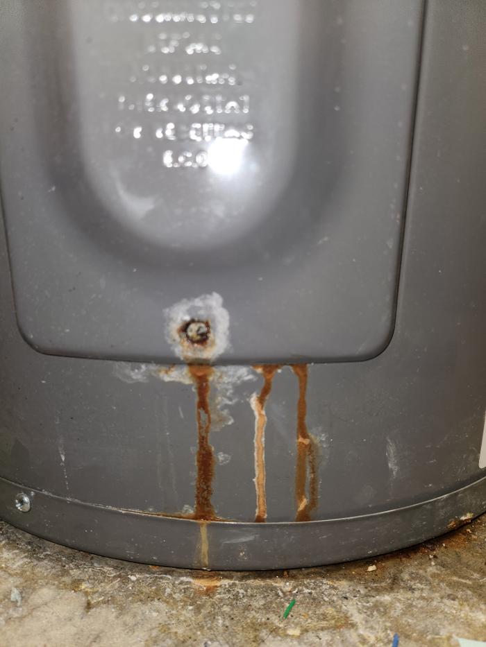 Roto-Rooter Plumbing & Water Cleanup Image