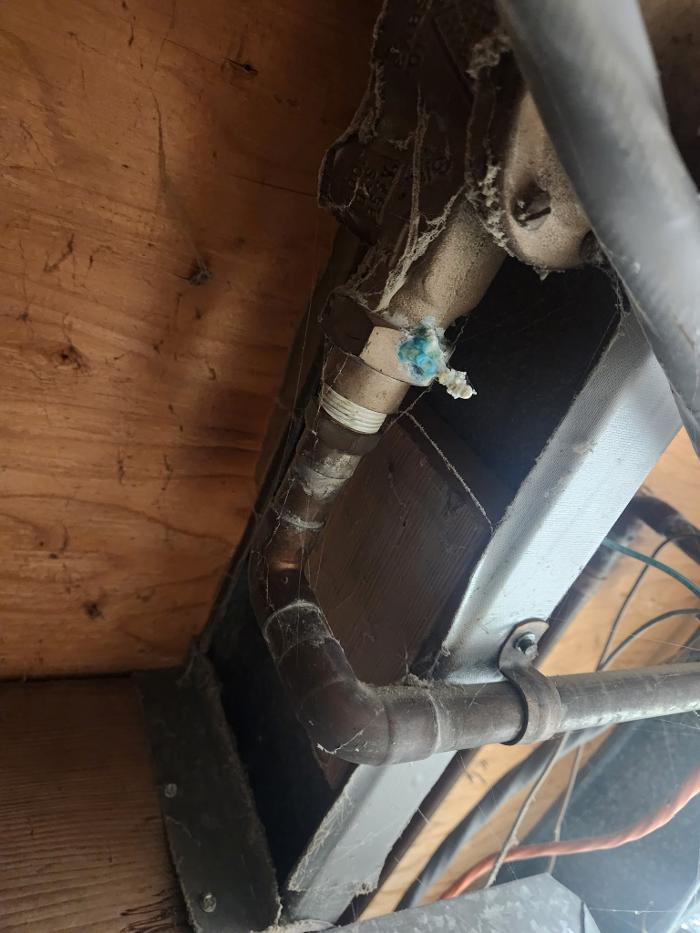 Roto-Rooter Plumbing & Water Cleanup Image