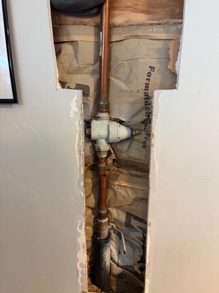 Roto-Rooter Plumbing & Water Cleanup Image