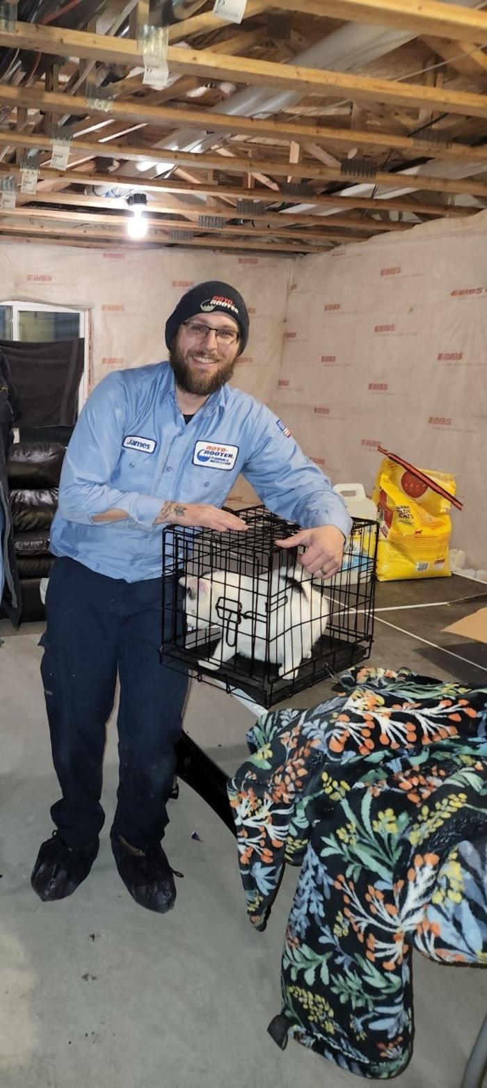 Roto-Rooter Plumbing & Water Cleanup Image
