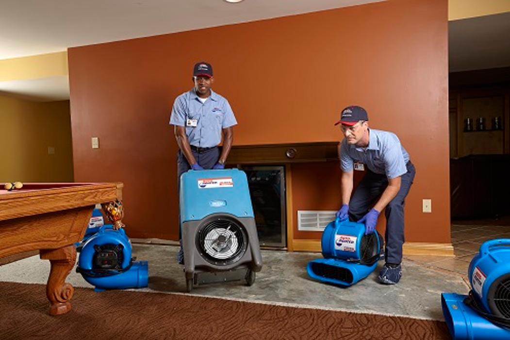 Roto-Rooter Plumbing & Water Cleanup Image