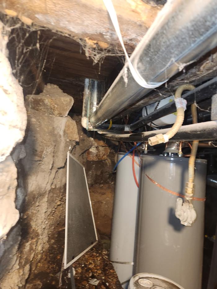 Roto-Rooter Plumbing & Water Cleanup Image