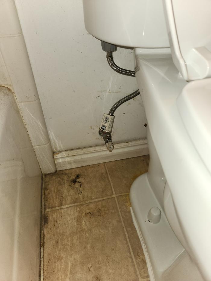 Roto-Rooter Plumbing & Water Cleanup Image
